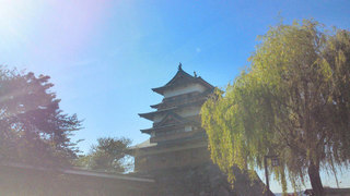 201210221321000.jpg