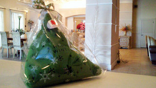 201212231046000.jpg
