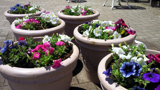 201305021109000.jpg