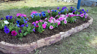 201305021344000.jpg
